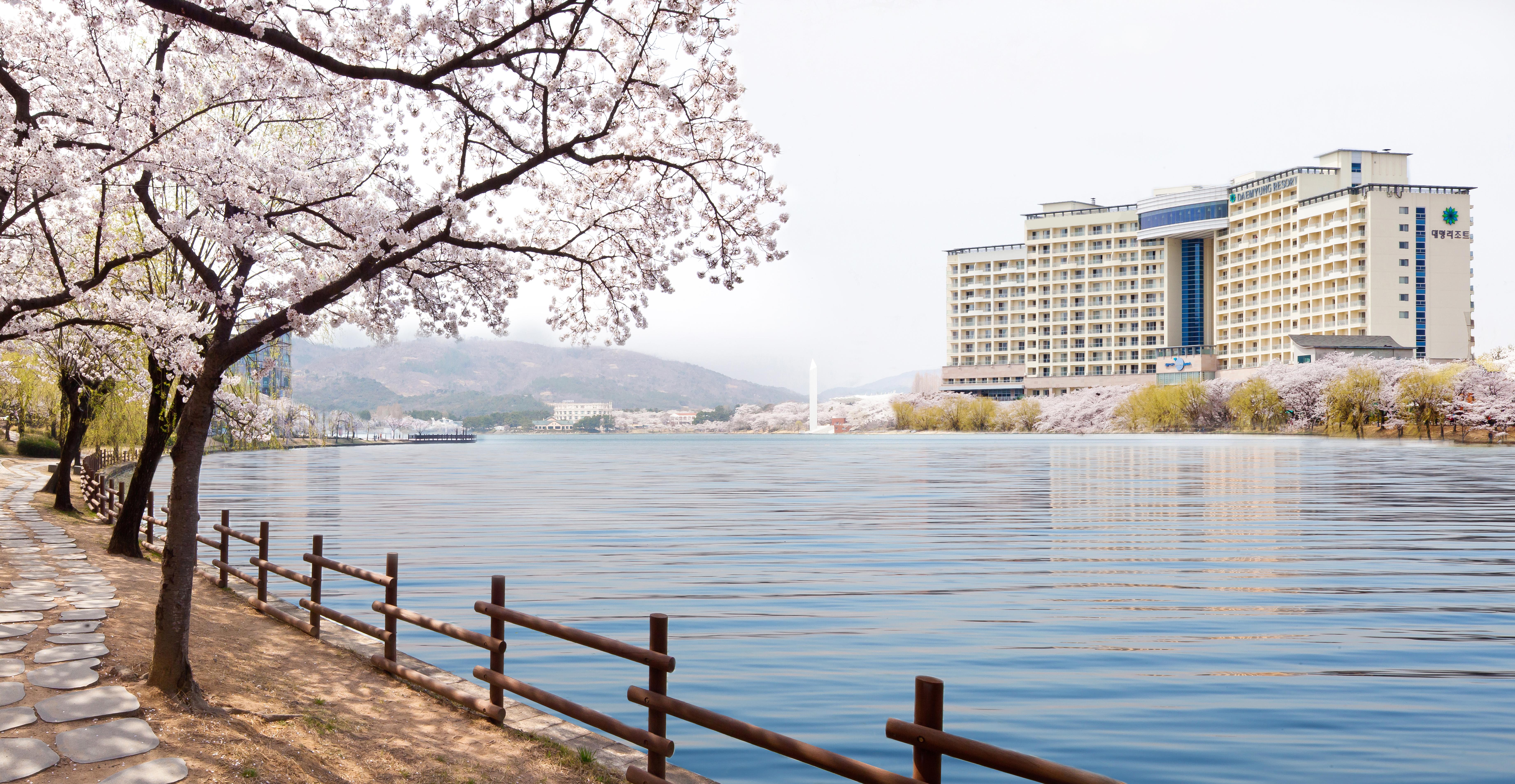 Hotel Sono Belle Gyeongju Exterior foto